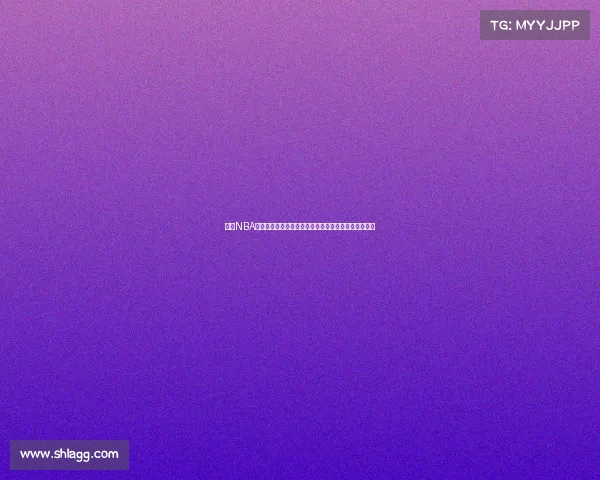 《以NBA经验老将为核心打造全新球队阵容助力年轻球员成长》