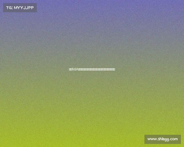 《以NBA经验老将为核心打造全新球队阵容助力年轻球员成长》