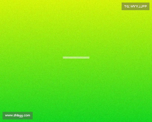 云达不来梅：德甲强队崛起之路与未来发展展望